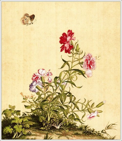 Giuseppe Castiglione郎世宁绘画艺术作品