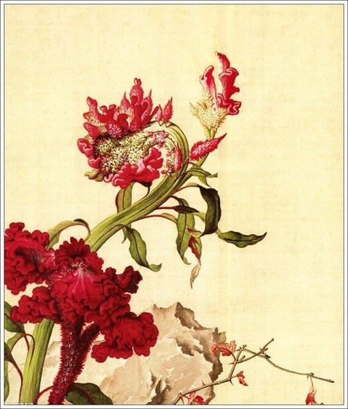 Giuseppe Castiglione郎世宁绘画艺术作品