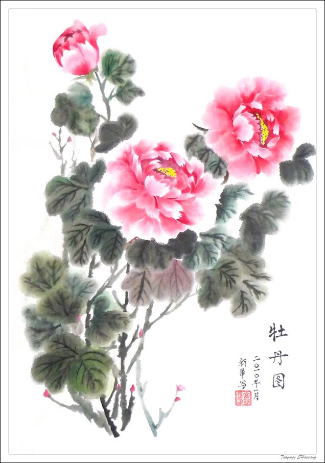 唯有牡丹真国色牡丹主题工笔绘画作品四