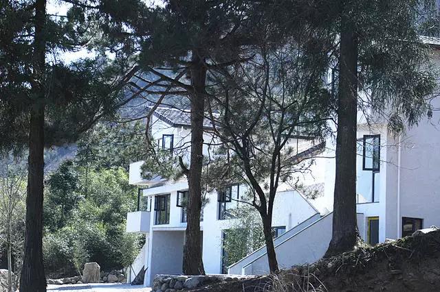 浙江杭州 越过山丘民宿