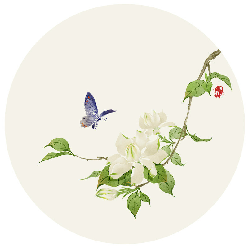 唯美花卉插画图片