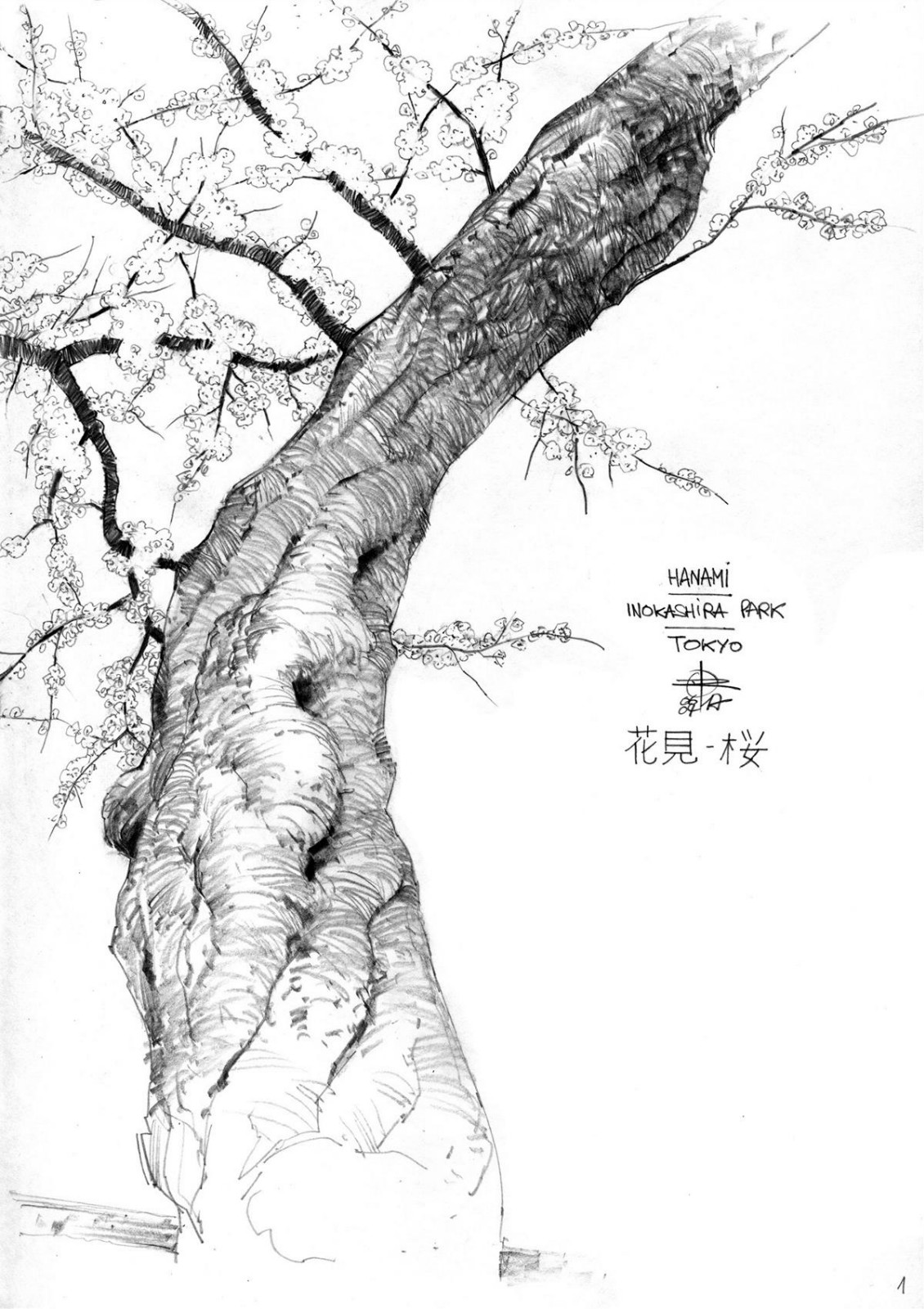 一组黑白手绘插画