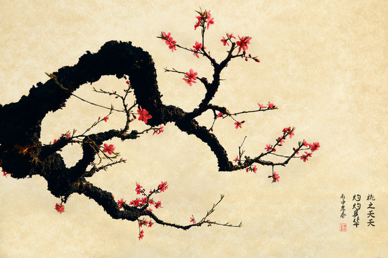 红艳桃花绘画国画欣赏