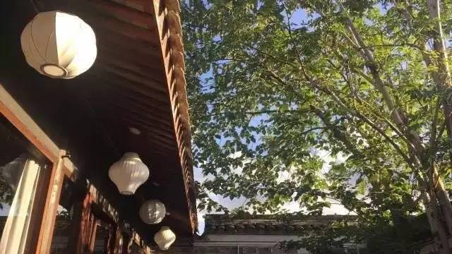 慈舍，悲喜隐去慈从舍生