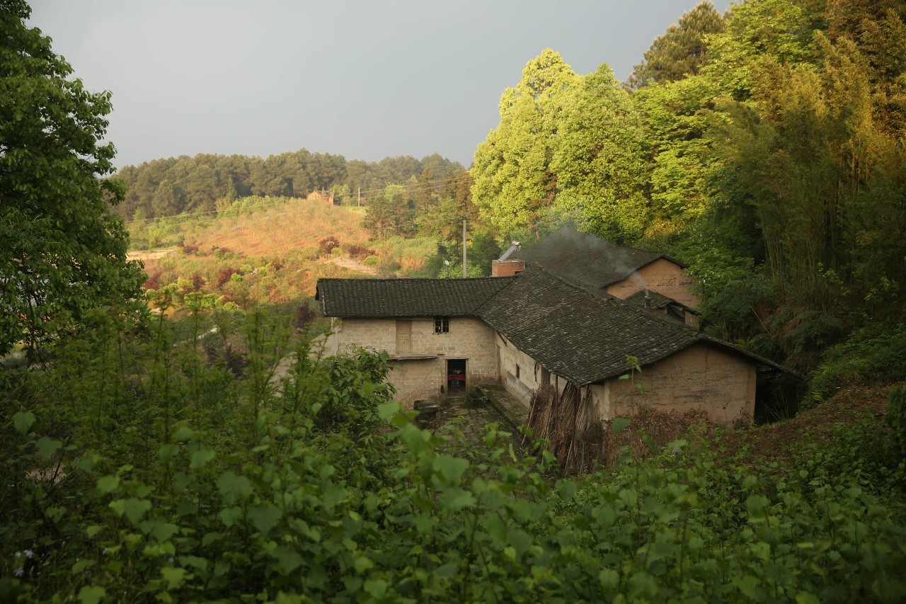 大来山树屋民宿，唤醒古老村庄留住青山绿水