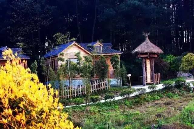 大来山树屋民宿，唤醒古老村庄留住青山绿水