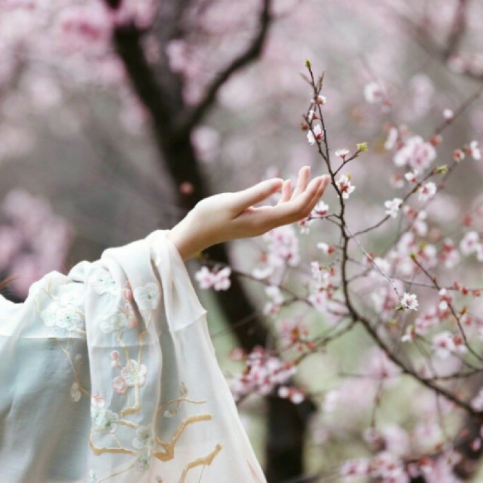 古风女子纤纤玉手头像，宁静清幽女生头像