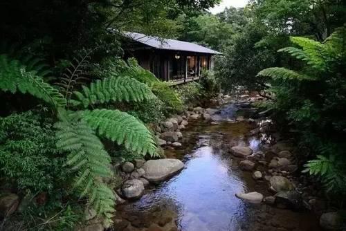 客堂间莫干山民宿，隐居深山聆听自然