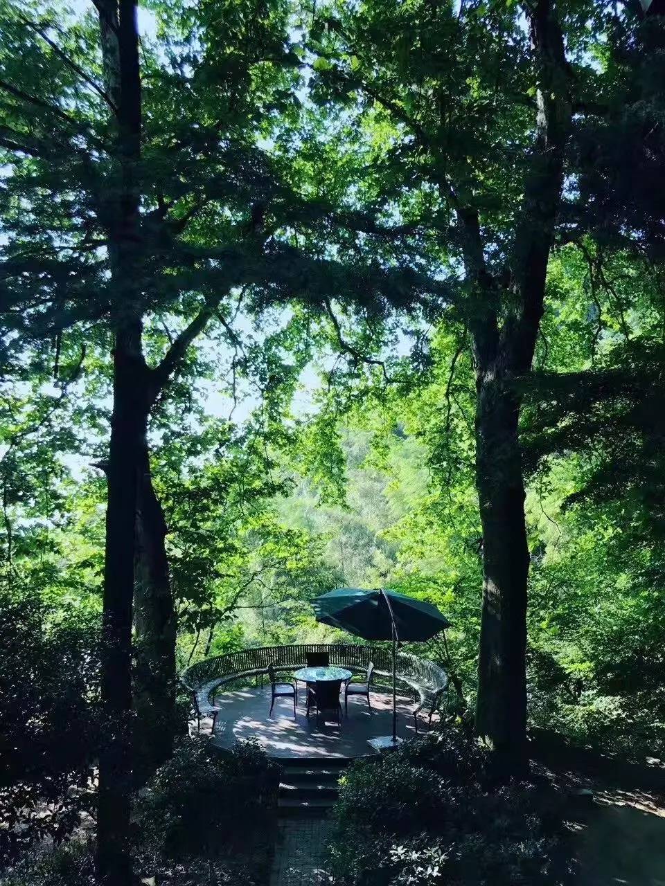 忘山别墅莫干山民宿，一栋百年历史的民国别墅