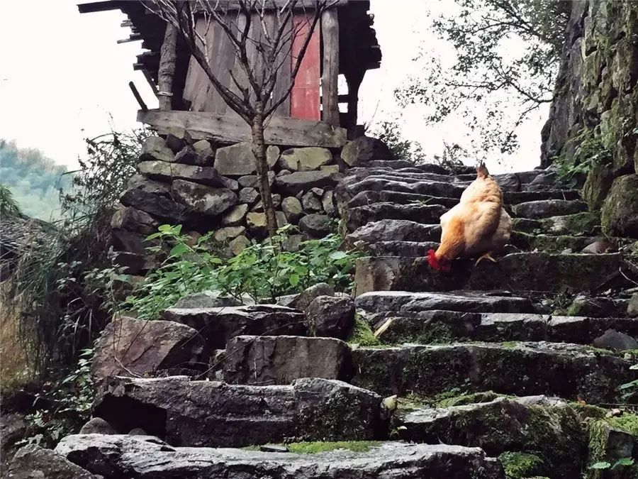 栖霞山居，溪流环绕在古村落捕鱼看霞光