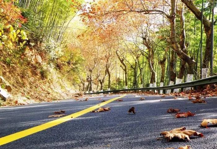瓜洲云裳山村，春风又绿江岸春