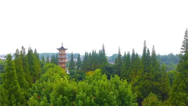 瓜洲云裳山村,春风又绿江岸春