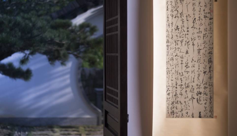 武夷山·山玖如意庄，一杯清茶一万个品茶人