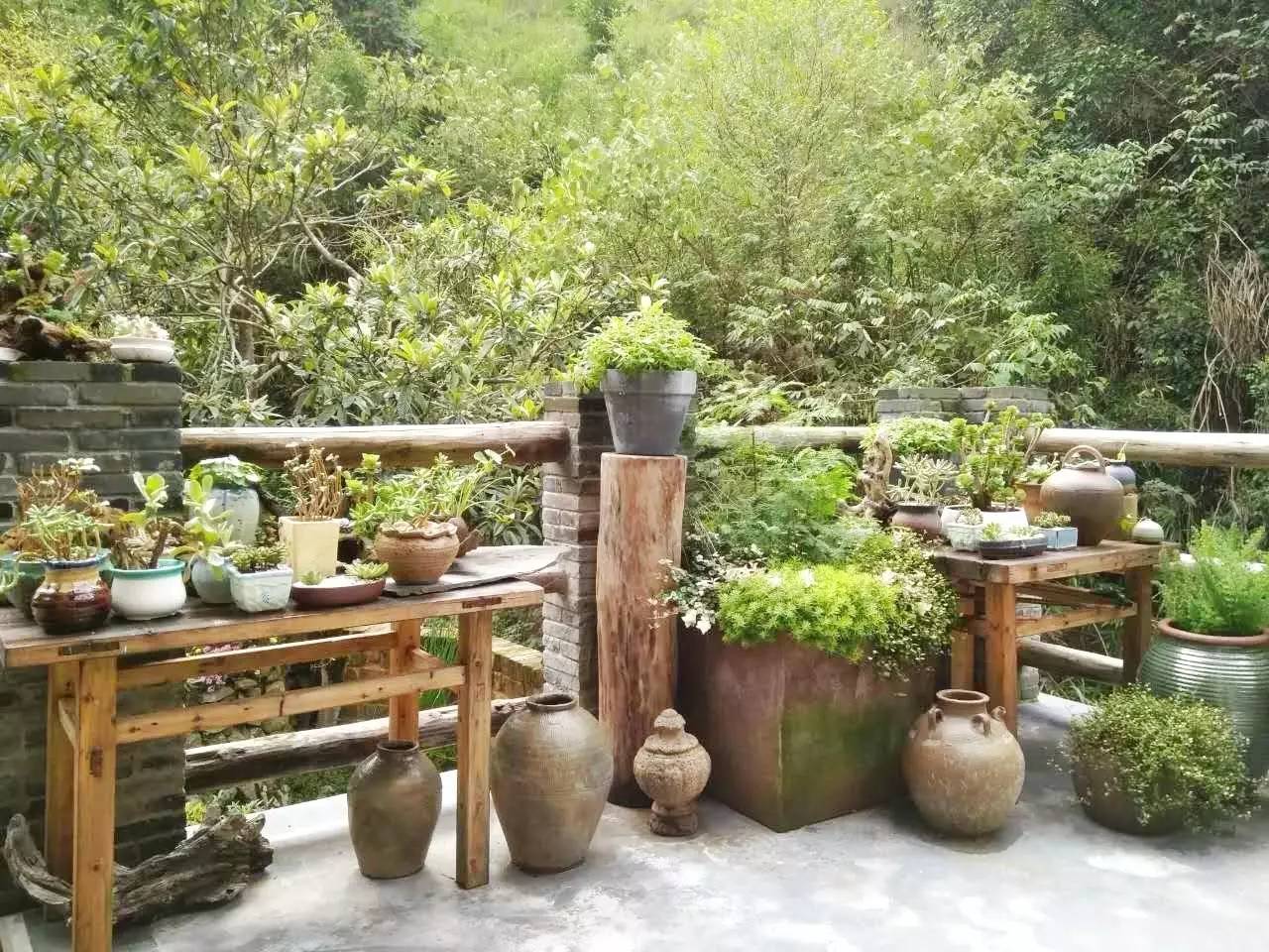 雪坑村·美客爱途，爱上美丽的客居地和旅途故事
