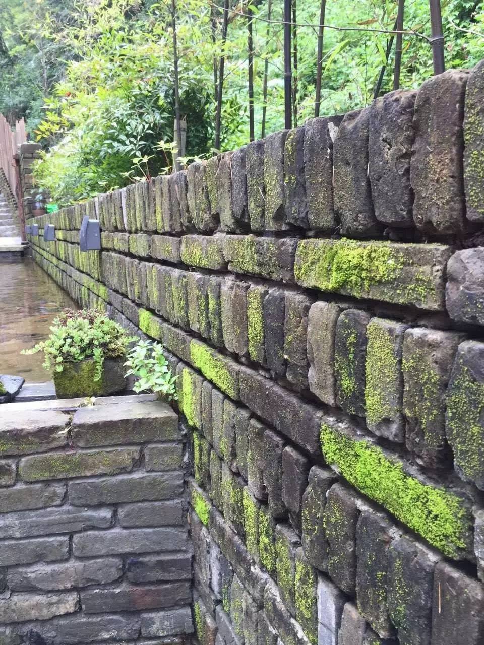 雪坑村·美客爱途，爱上美丽的客居地和旅途故事