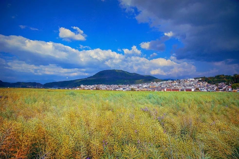 安之若宿·山，建一小屋与你晨钟暮鼓