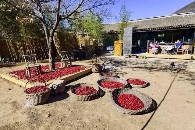 北京·山楂小院，留住最土的乡味和温暖的人心