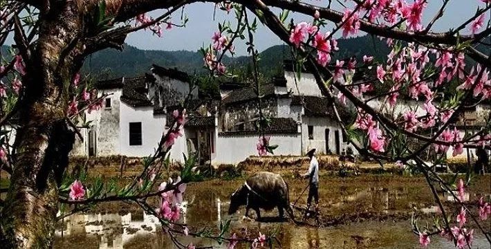 十处有特色的中国古建筑