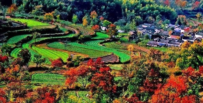 十处有特色的中国古建筑
