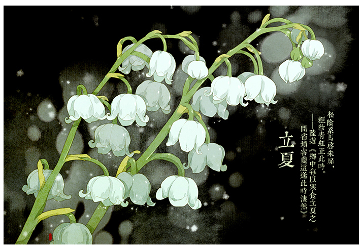 唯美的24节气花卉插画，品味古老的诗之清韵