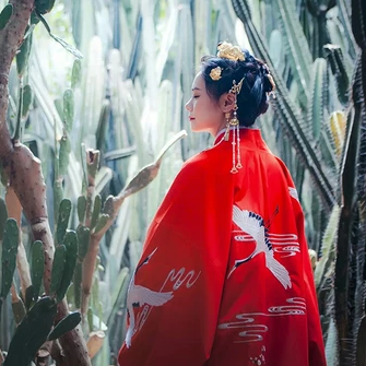 红衣仙鹤带伞女生头像，唯美古风真人头像
