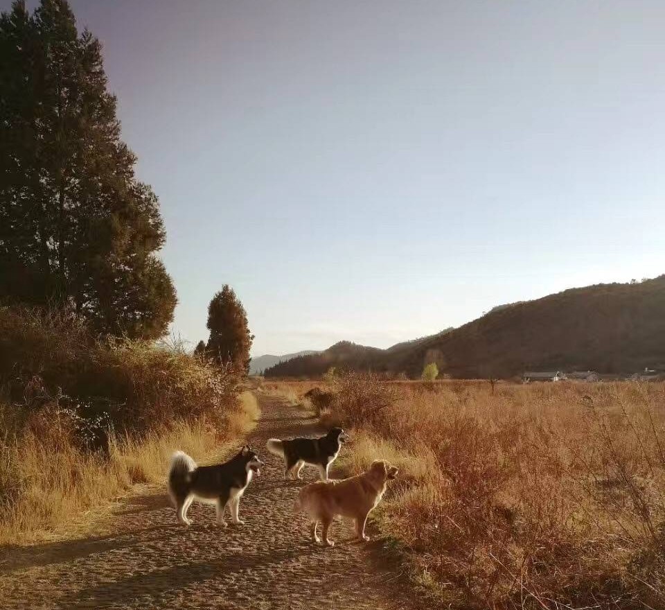 丽江束河·雲山南，相爱真的是一种奇迹
