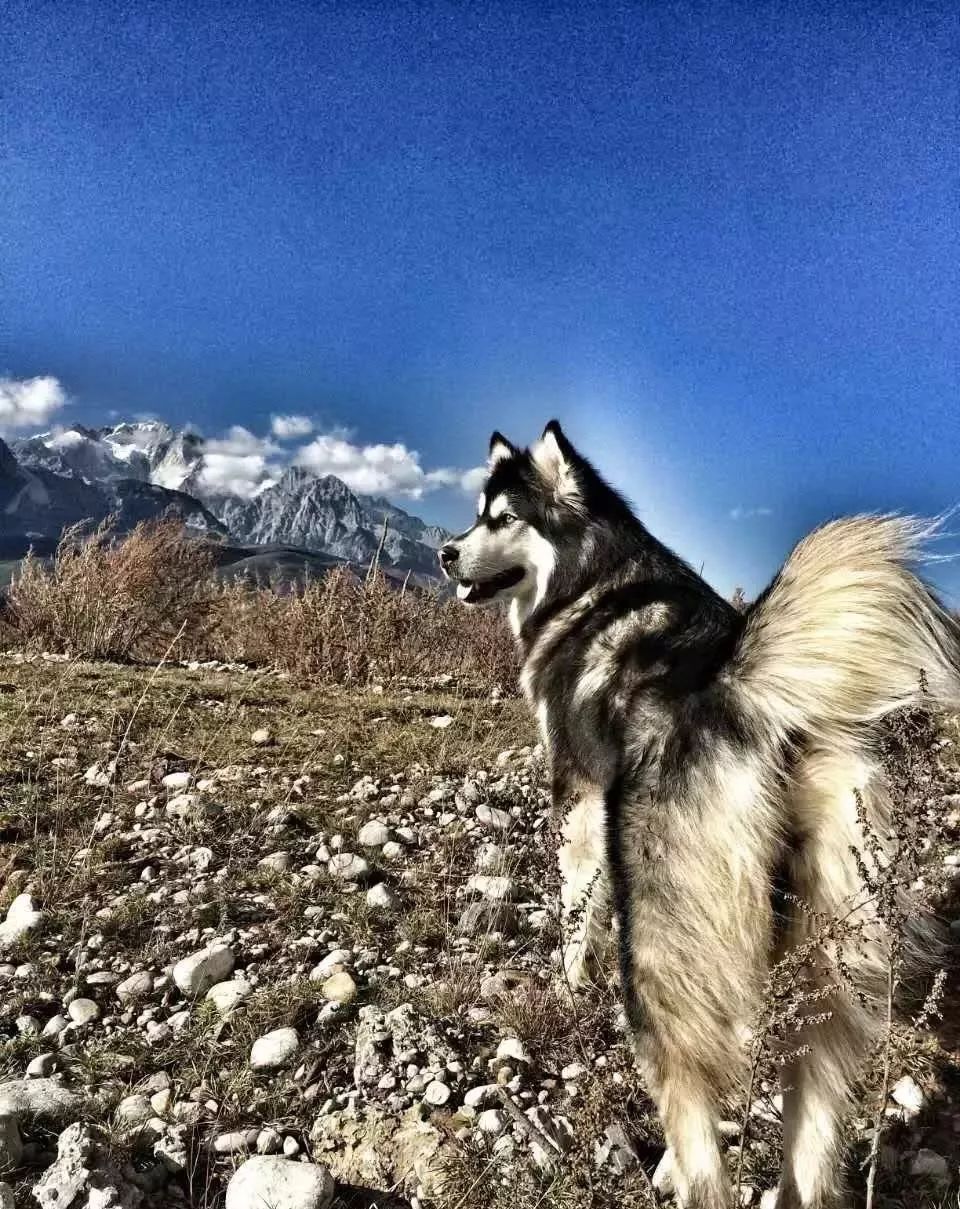 丽江束河·雲山南，相爱真的是一种奇迹