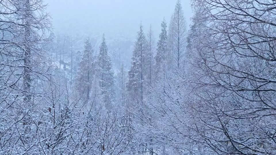 杭州·菩提谷，与你一起私有群山秘境