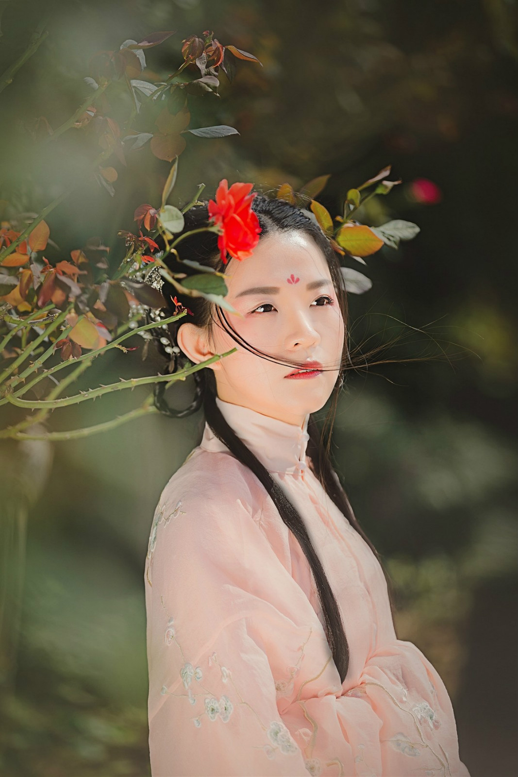 蝶舞·人像古装摄影