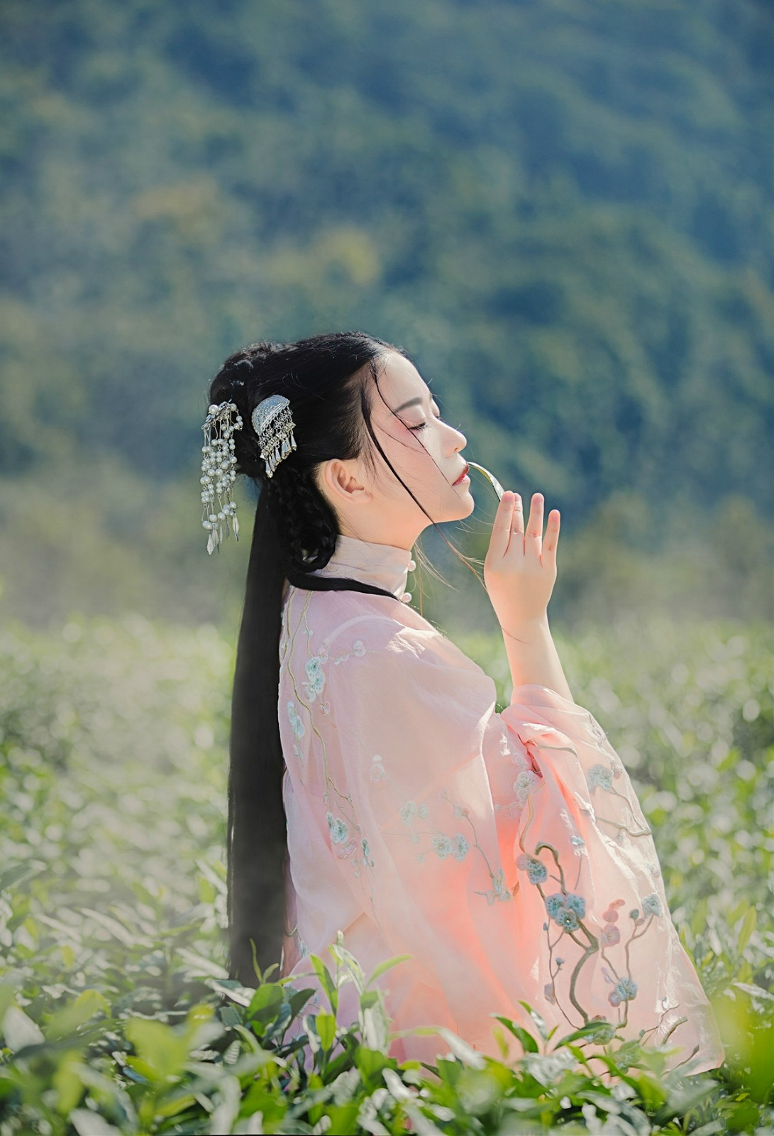 蝶舞·人像古装摄影
