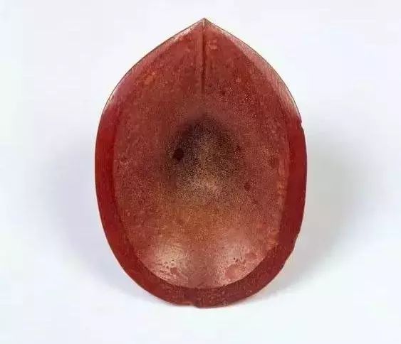 古代乐器：大唐盛世藏着丰富的大唐珍宝！