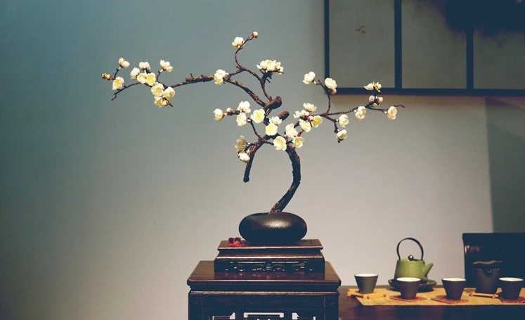 禅意艺术插花：梅花中式插花花艺图片