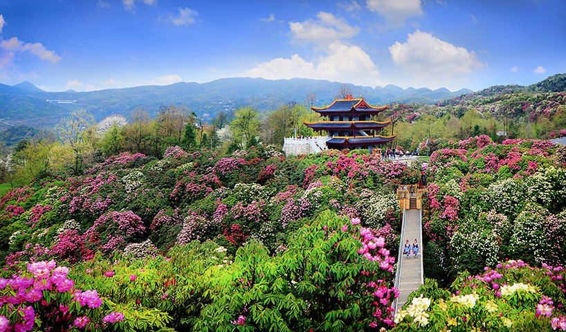 最美贵州风景，用山水风景点亮贵州文化！