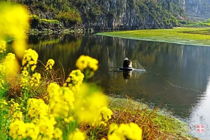 美到窒息的中国最美油菜花海,邂逅花海风景!
