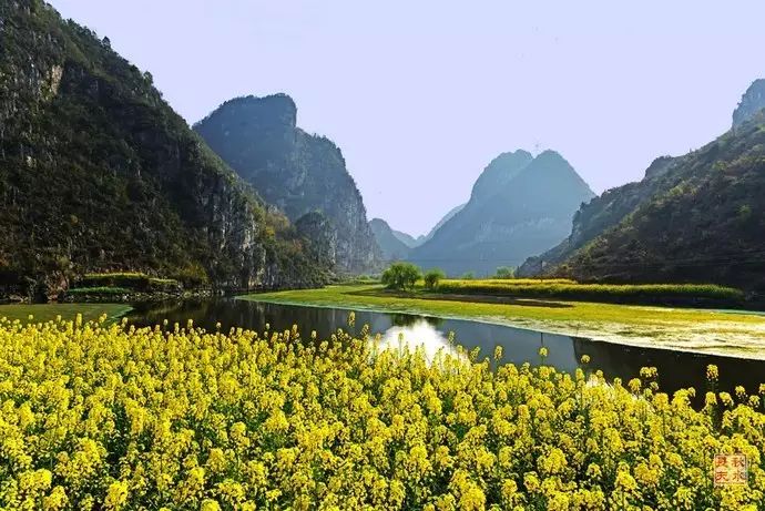 美到窒息的中国最美油菜花海,邂逅花海风景!