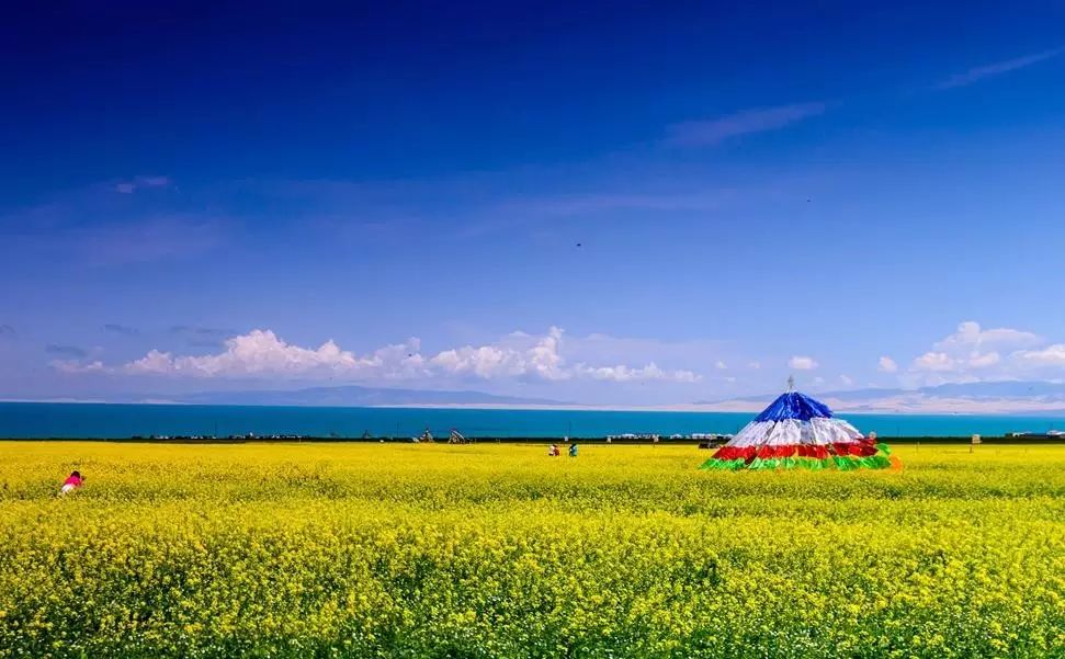 美到窒息的中国最美油菜花海，邂逅花海风景！