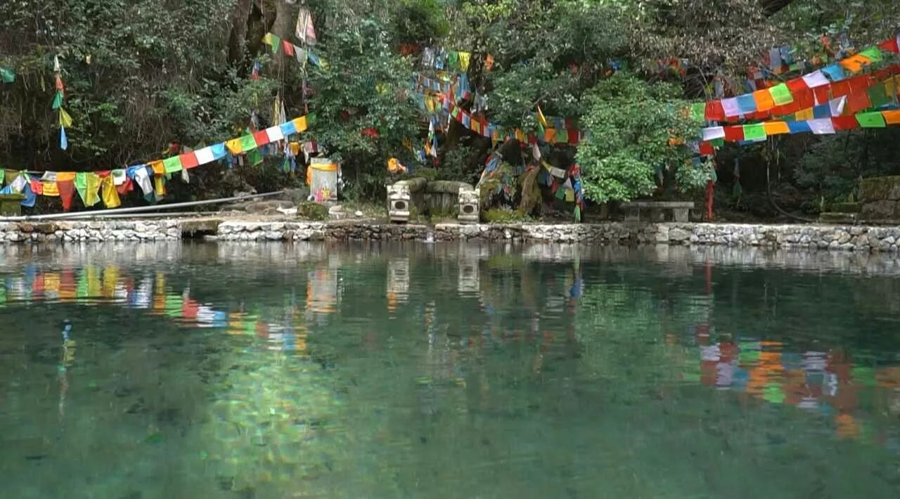 丽江·灵净山舍，一花一木一世界！