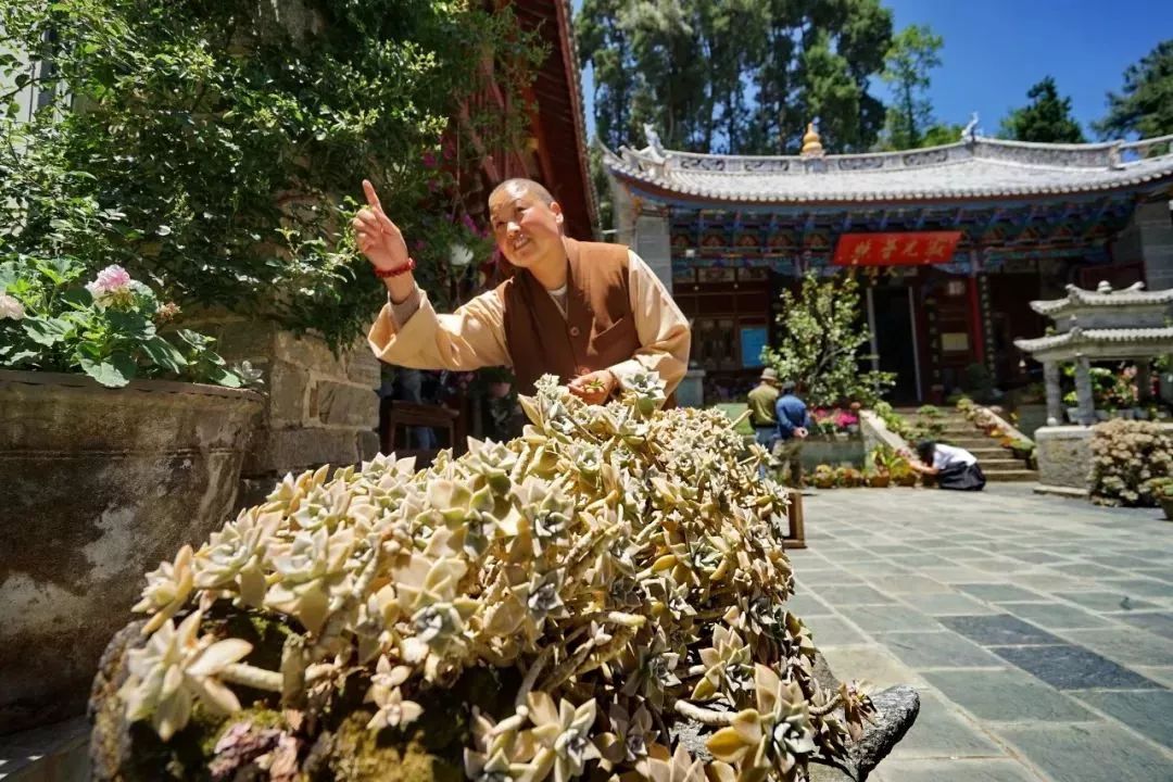 寂照庵--中国最文艺尼姑庵：心若无尘一花一世界