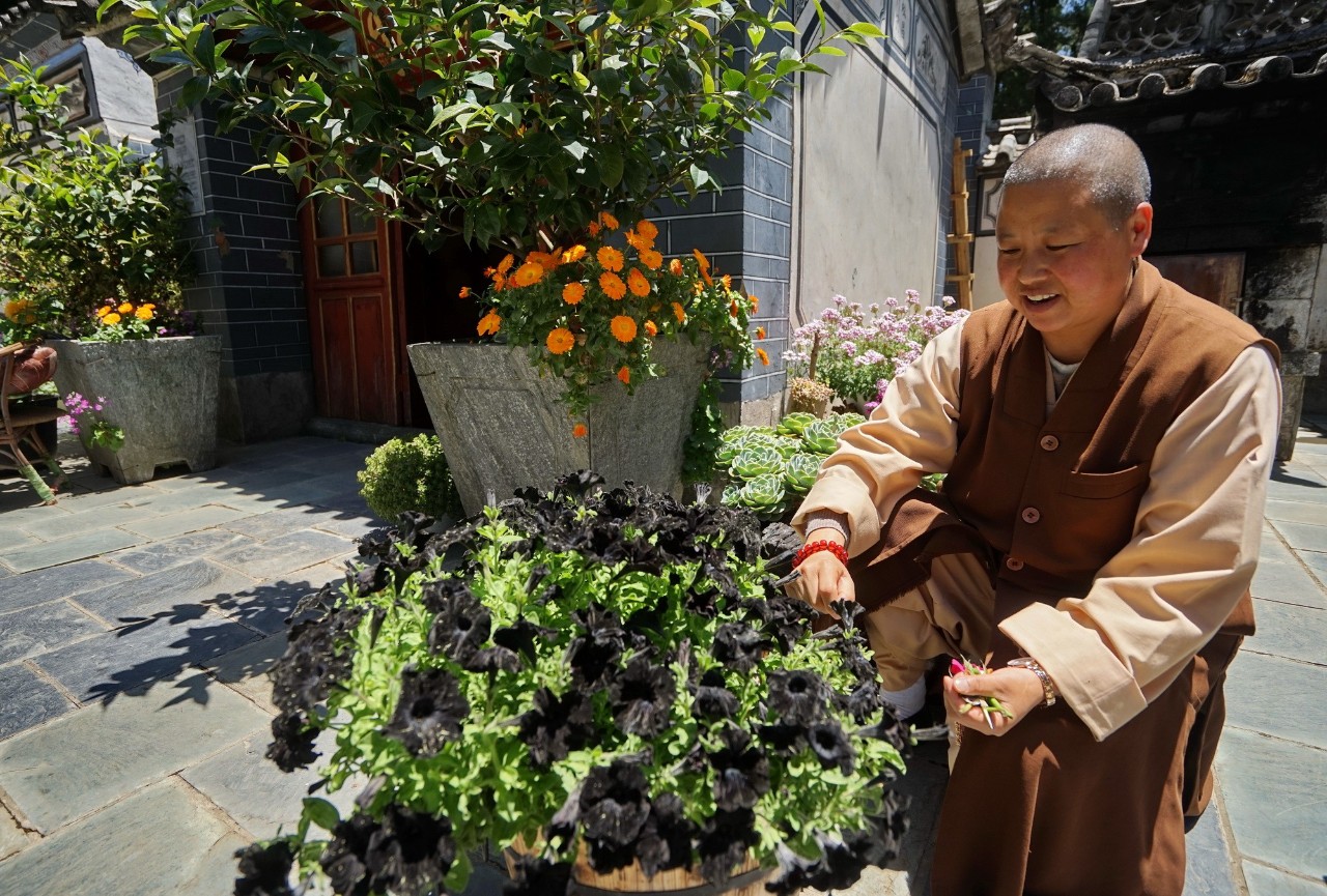 寂照庵--中国最文艺尼姑庵：心若无尘一花一世界