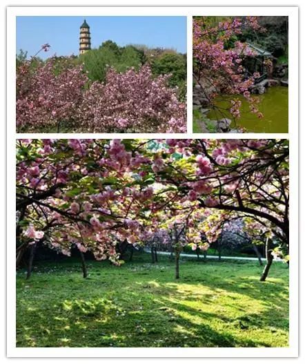 唯美风景图片,踏青游玩美翻天!