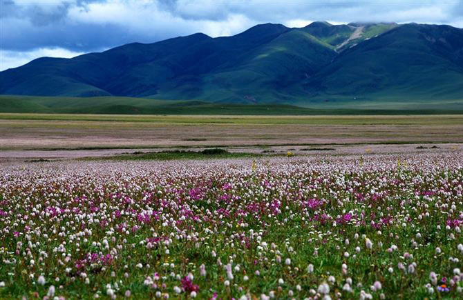 中国最美丽的地方：祖国大好山河风景