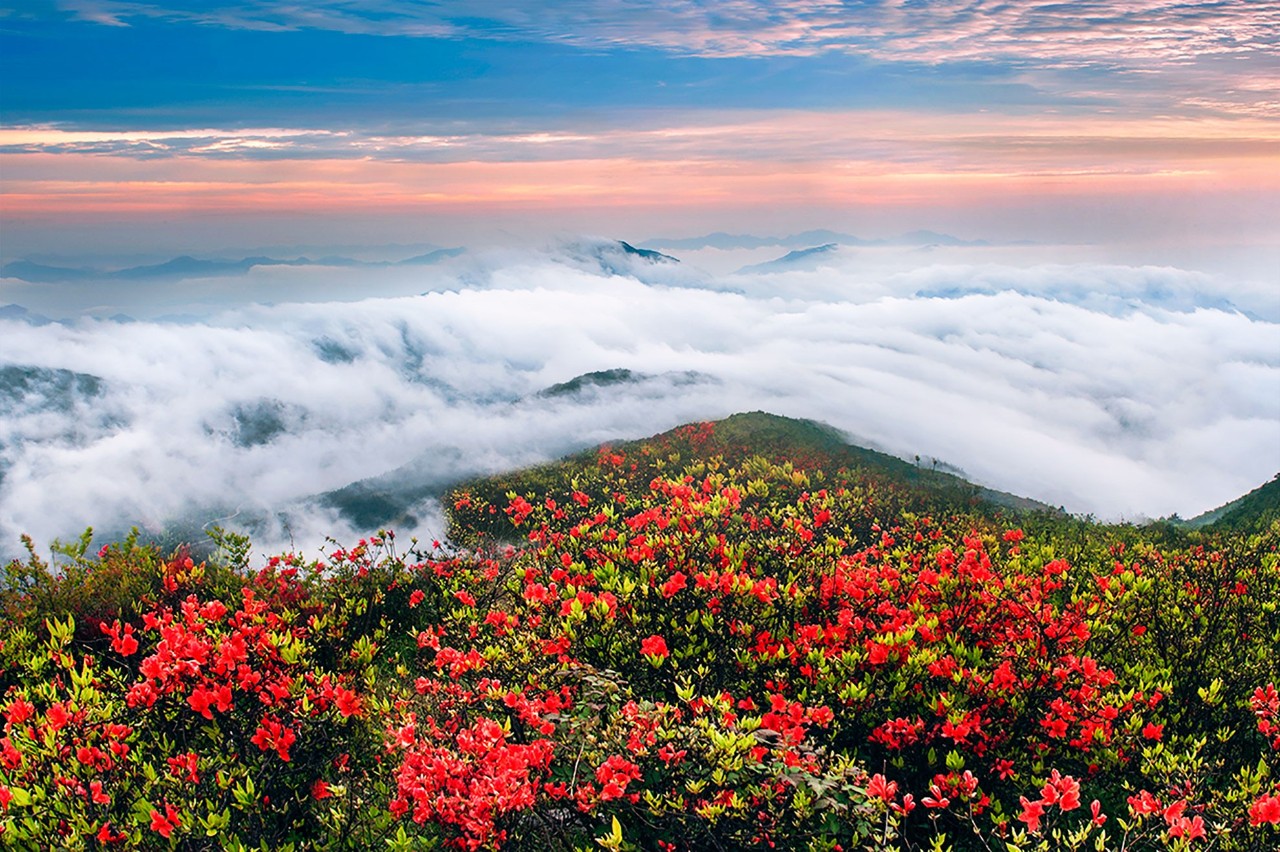 丽水云和·在田间，中国传统水墨山水的意境