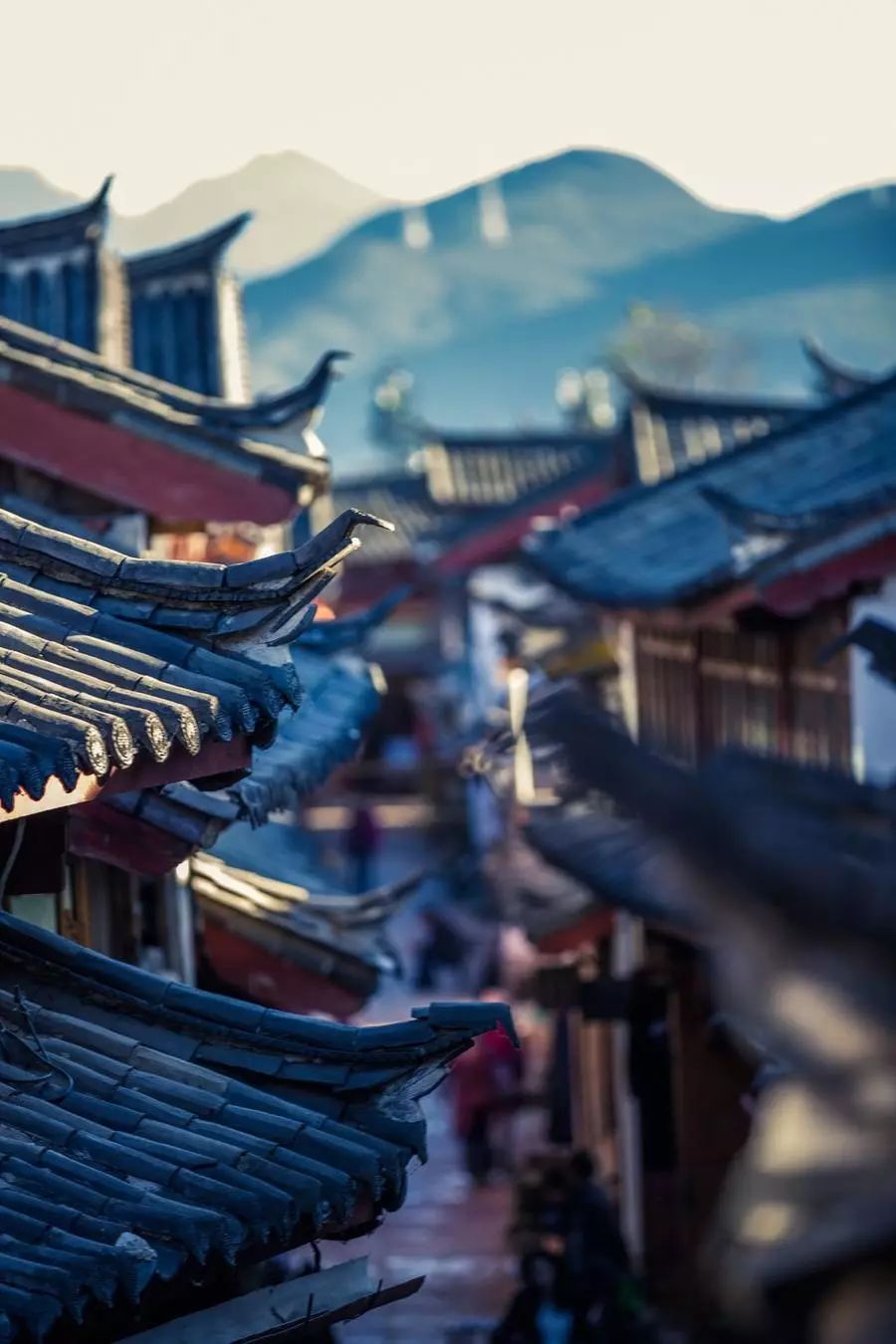 丽江·浮云社，将一切凡尘俗世都看作浮云