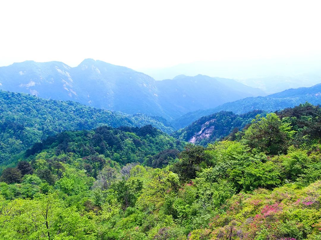 麻城·云梦如故，山里的房子就该有山里的味道