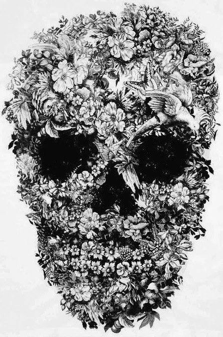 一组手绘骷髅头插画，犹如带刺的玫瑰！