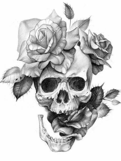 一组手绘骷髅头插画，犹如带刺的玫瑰！