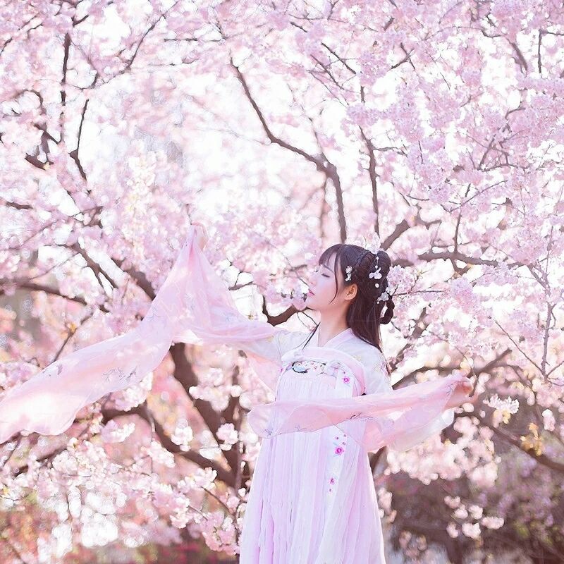 传统华夏粉色汉服，汉元素清新淡雅汉服图片