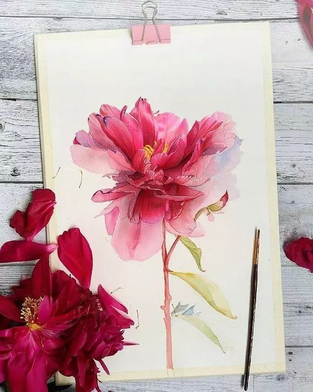 超逼真的水彩手绘插画，小清新植物插画图片