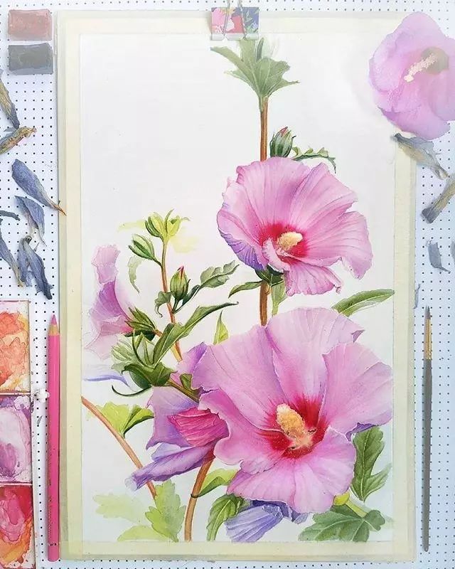 超逼真的水彩手绘插画，小清新植物插画图片