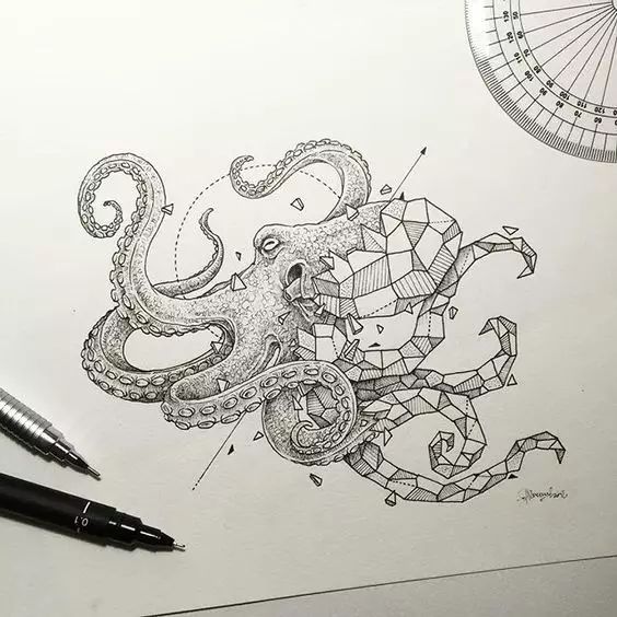 惊叹的动物手绘插画：学霸与艺术的完美融合